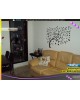 Linda Duplex, 2 Quartos com Garagem